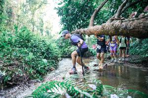 BIB: 
                            <button type="button" onclick="openModal(25464115)" class="btn btn-primary btn-sm float-right btn-popup" data-toggle="modal" data-target=".modal-high-quality">
                        <i class="fas fa-shopping-cart"></i> Add to Cart
                    </button>
                                            <button type="button" onclick="isThisMe(25464115, true)" class="btn btn-success btn-sm float-right btn-popup btn-isme hidden" data-toggle="tooltip" data-placement="bottom" title="นี่คือรูปของคุณใช่ไหม คลิกที่นี่เพื่อเอาเข้าอัลบั้ม">
                        <i class="fas fa-plus"></i> Add to album
                    </button>
                    <button type="button" onclick="isThisMe(25464115, false)" class="btn btn-warning btn-sm float-right btn-popup btn-isnotme hidden">
                        <i class="fas fa-ban"></i> Remove from album
                    </button>